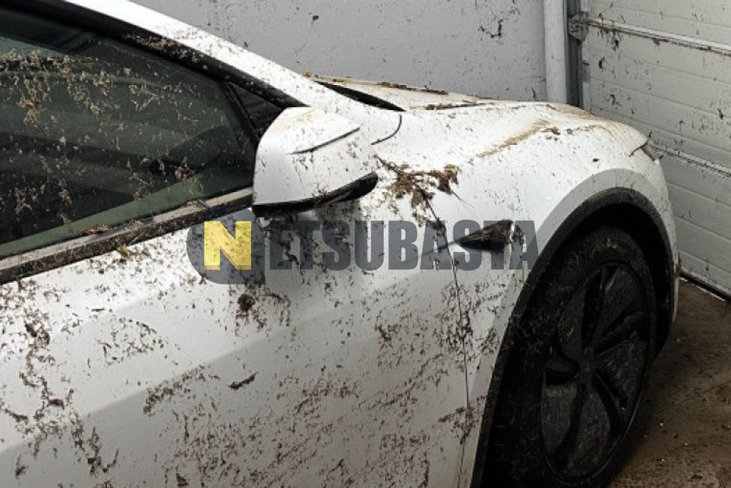 Tesla Model Y Tracción trasera 2025