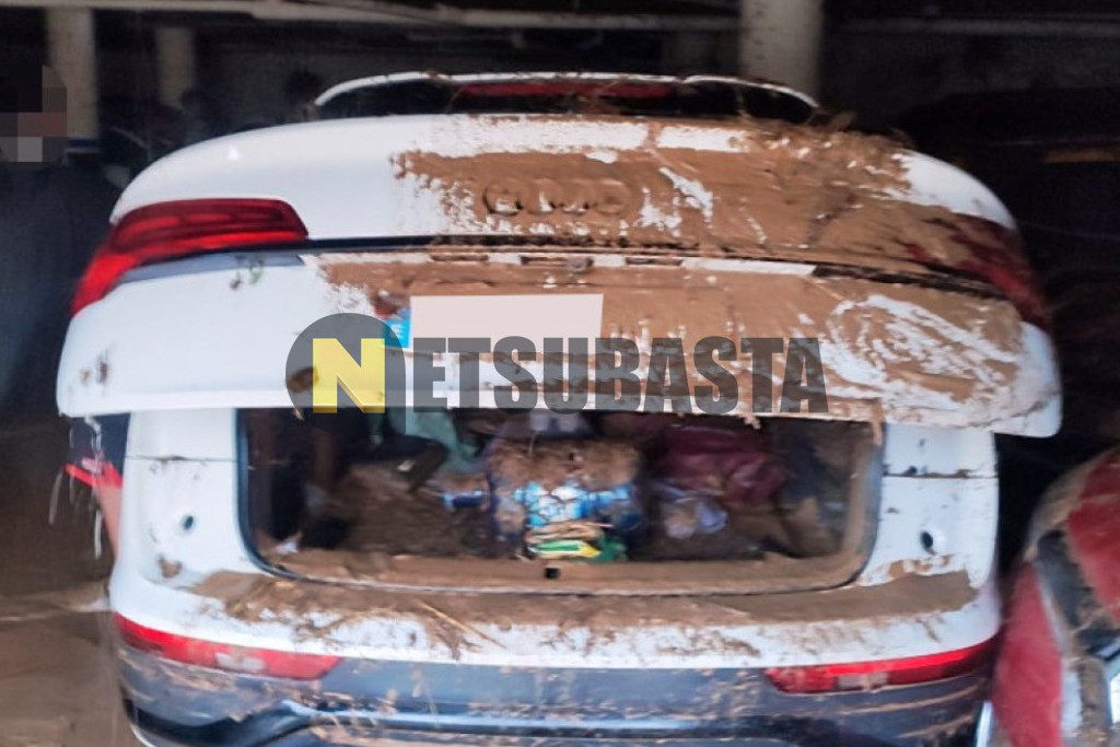 Audi Q5 TDI quattro S tronic 2025