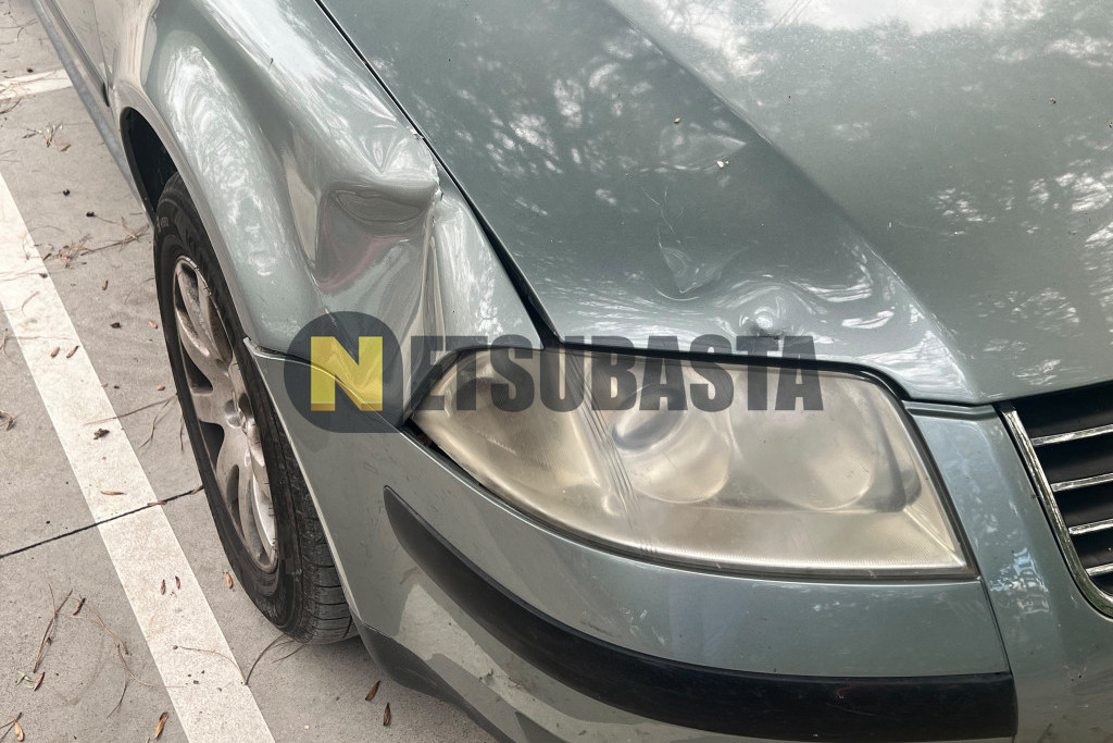 Volkswagen Passat 1.9 TDI 2004